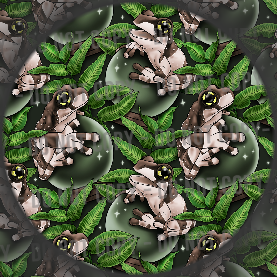 Amazon Milk Frog - Forest