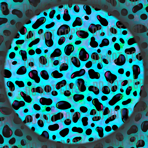 101 Spots - 5