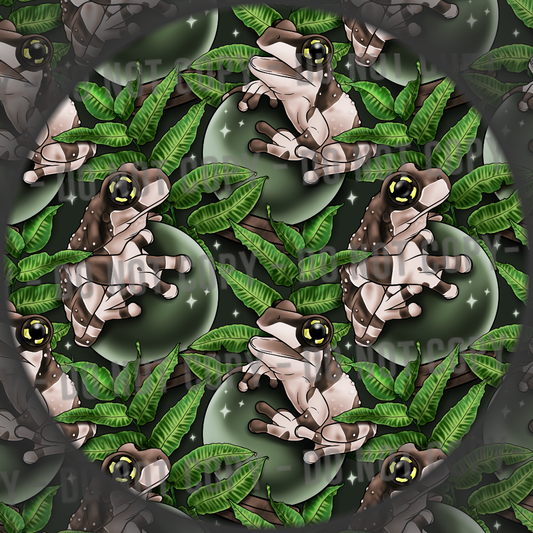 Amazon Milk Frog - Forest