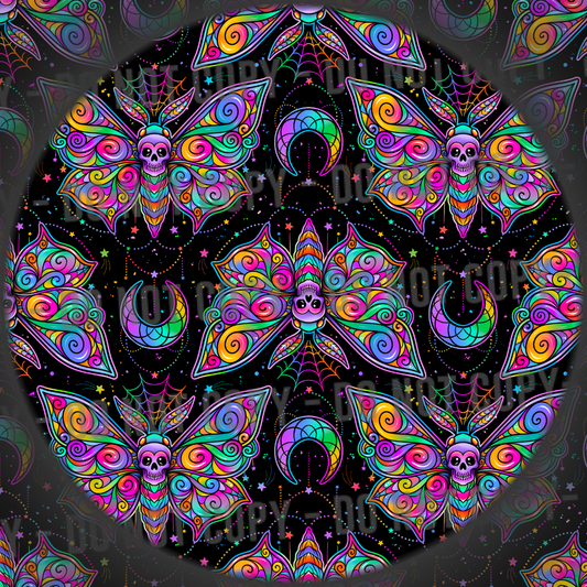 Black And Rainbow Moth