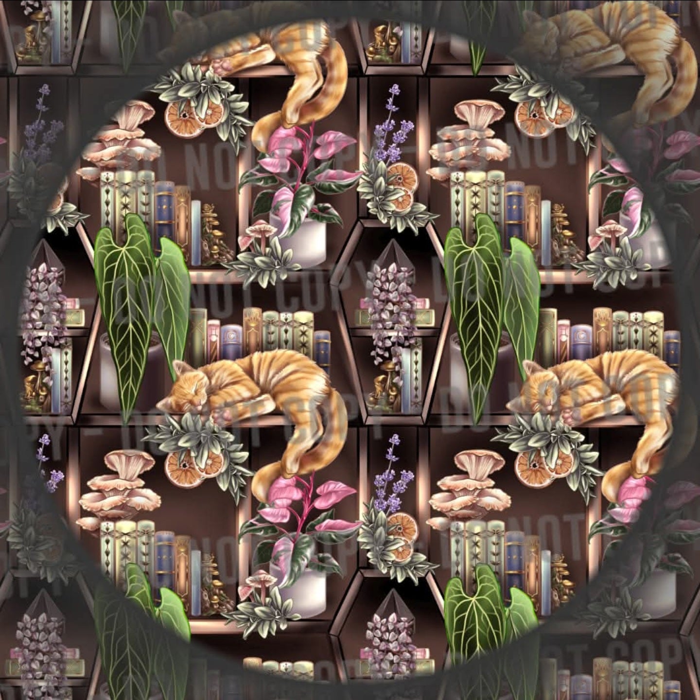 Cat Bookshelf - Ginger