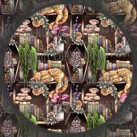 Cat Bookshelf - Ginger