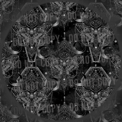 Coffin Bats - 6