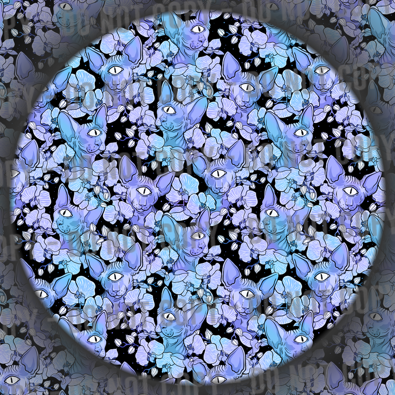 Cyclops Kitty - Blue