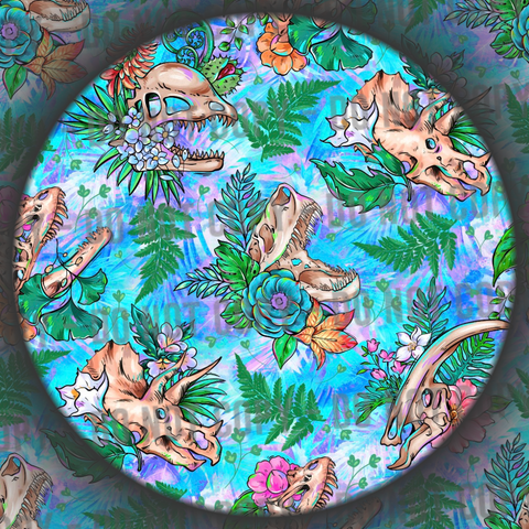 Dinosaur Skulls - 1