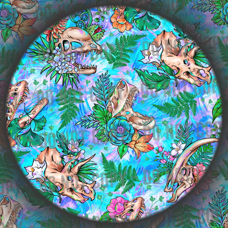 Dinosaur Skulls - 1