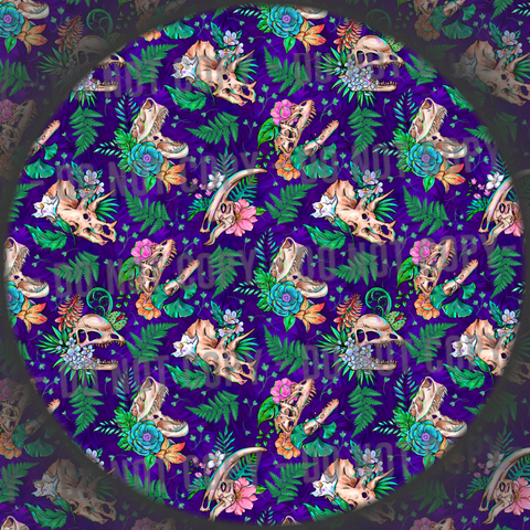 Dinosaur Skulls - 3