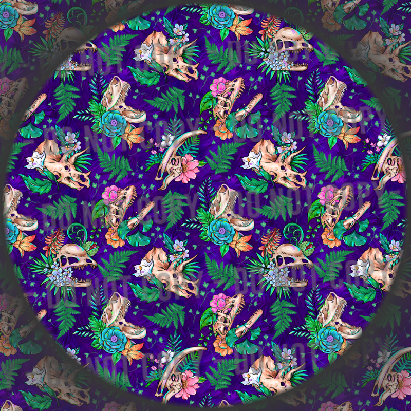 Dinosaur Skulls - 3