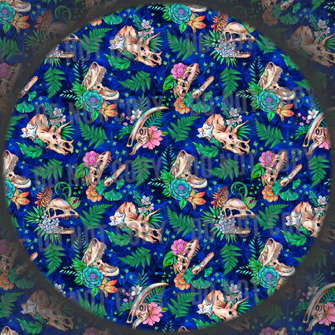 Dinosaur Skulls - 5