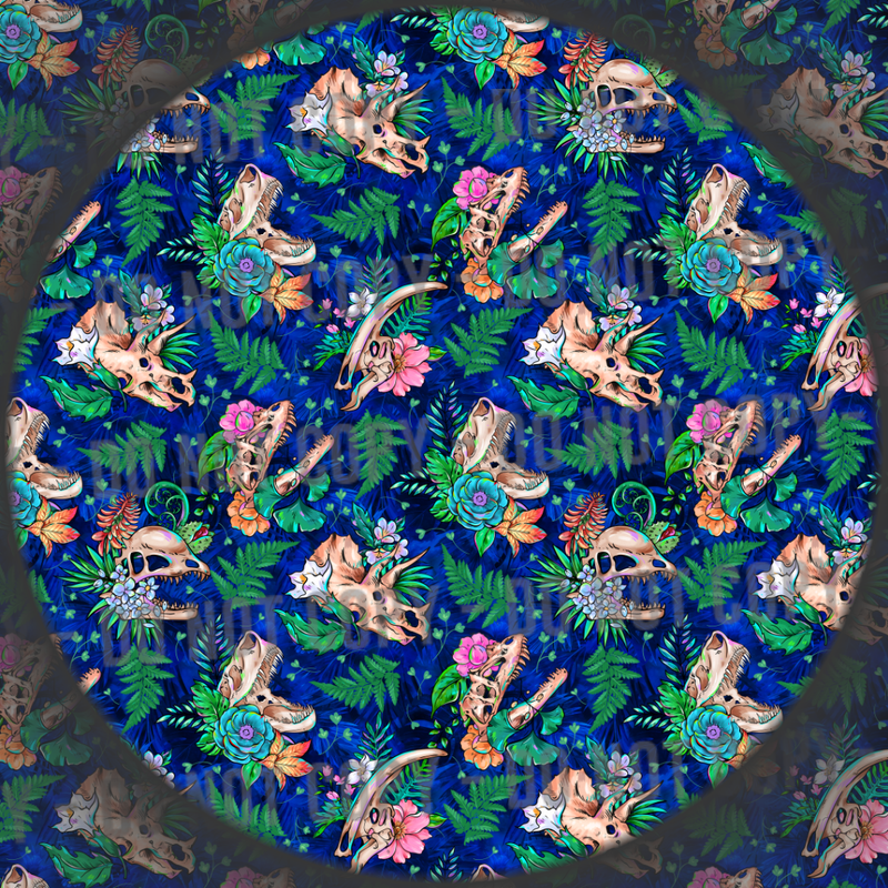 Dinosaur Skulls - 5