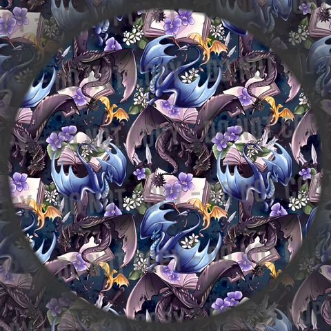 Dragon Dreamers