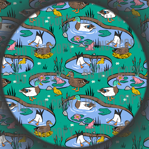 Duck Pond