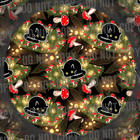 Fairy Circle Cat