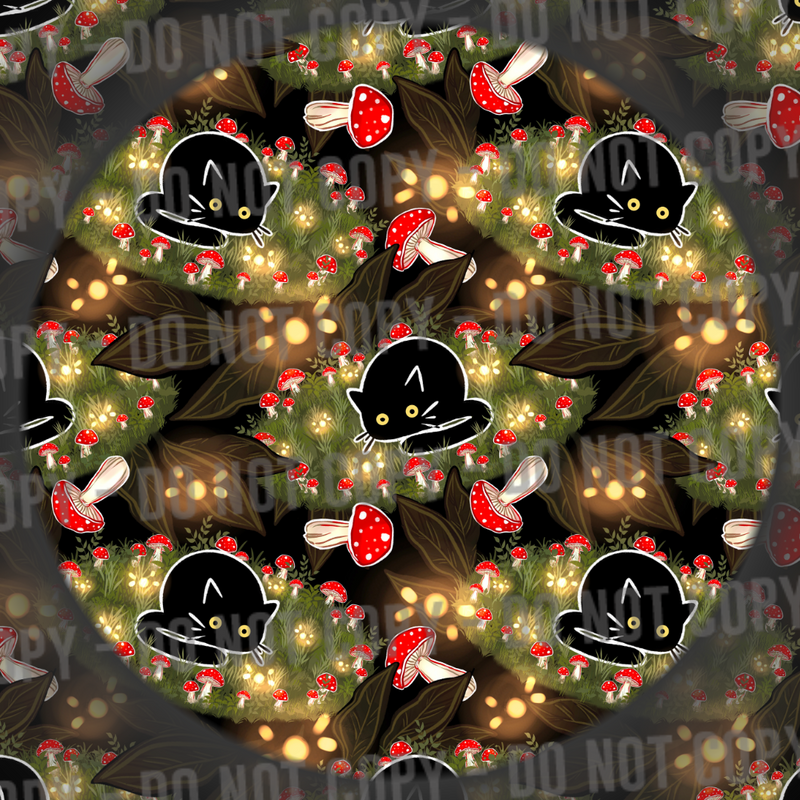 Fairy Circle Cat
