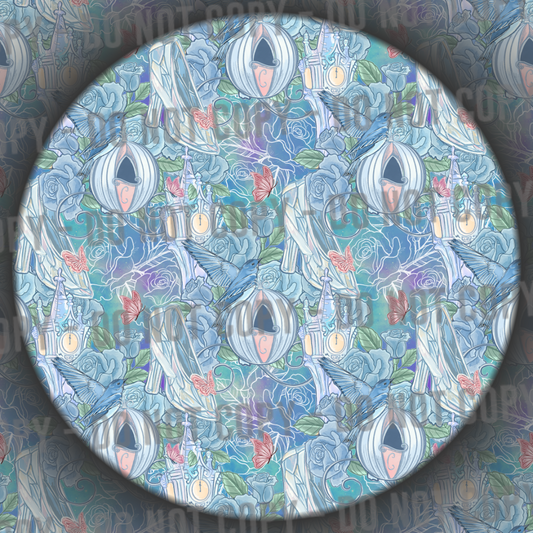 Glass Slipper Princess