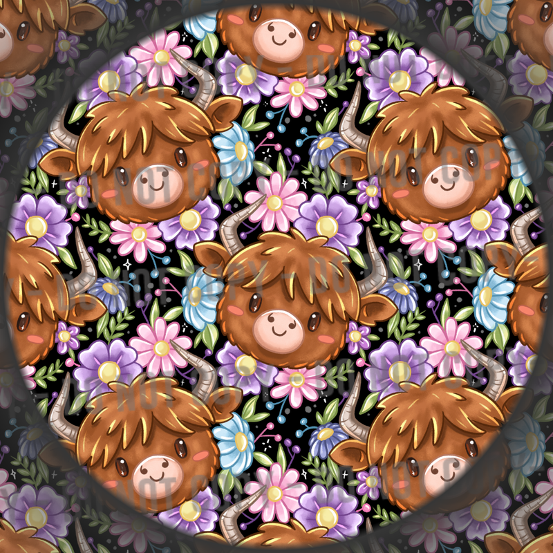 Highland Cow - 5
