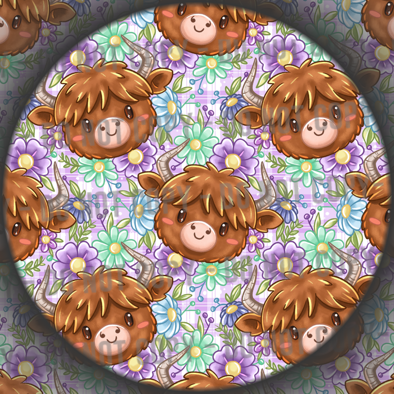 Highland Cow - 6