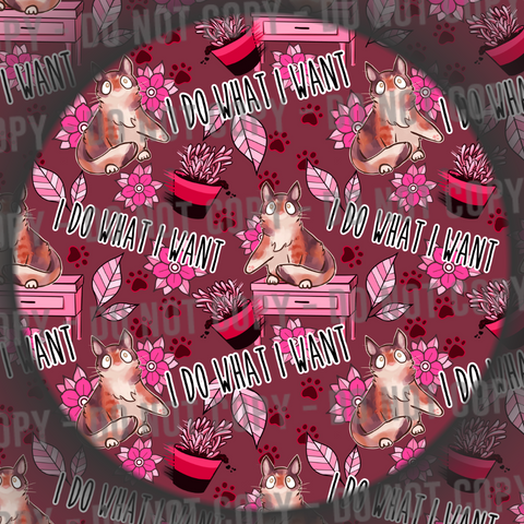 I Do What I Want - Red