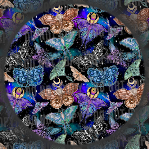 Moths