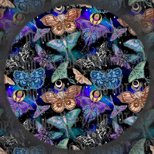 Moths