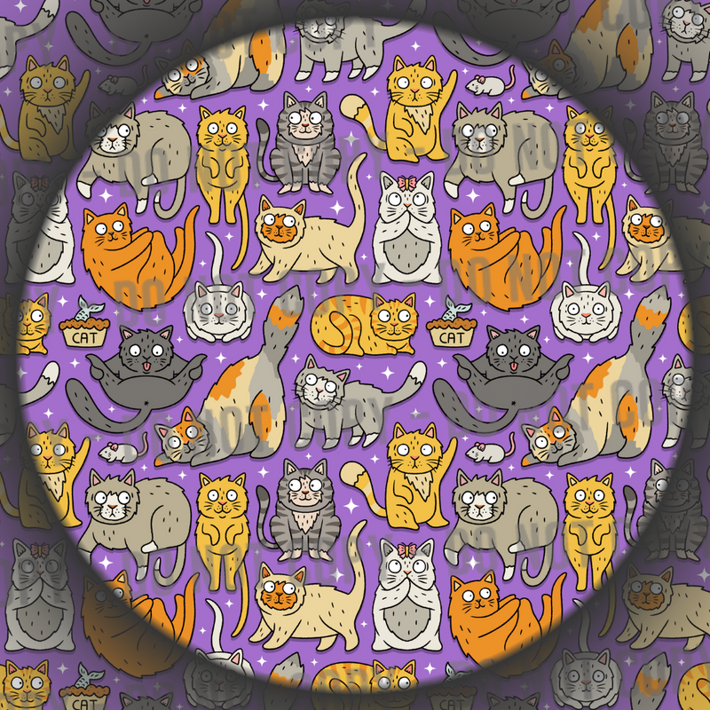 Sassy Cats