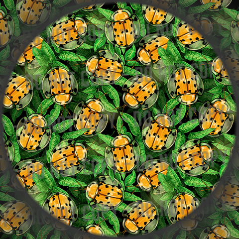Spotted Tortoise Beetle