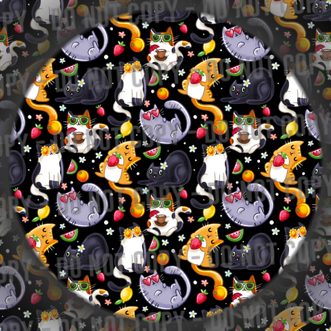 Summer Cats - 2