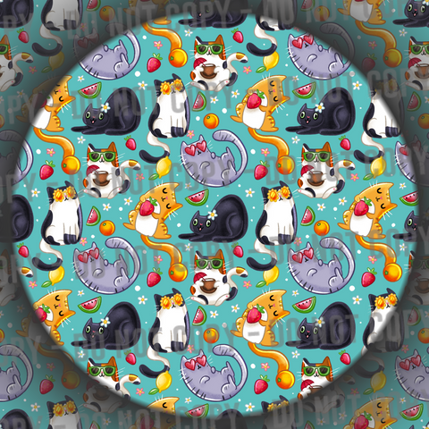 Summer Cats - 3