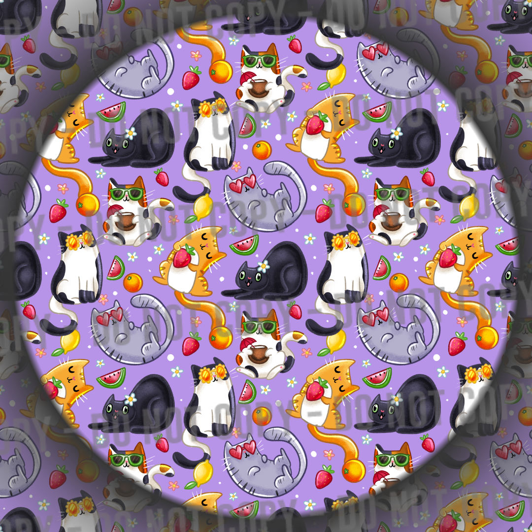 Summer Cats - 4
