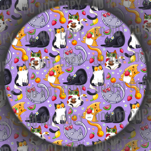 Summer Cats - 4