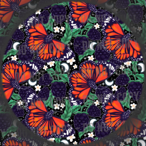 Berries & Butterflies - 2