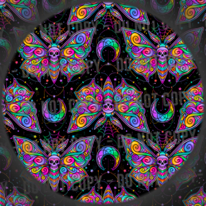 Black And Rainbow Moth
