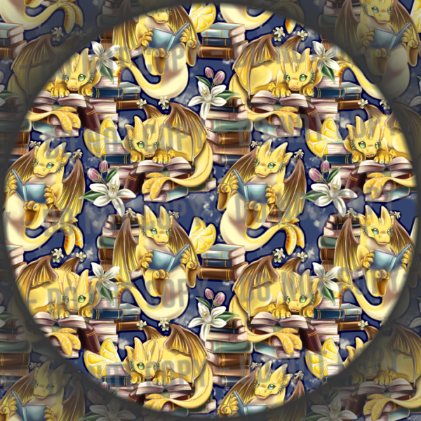 Book Dragon - 1