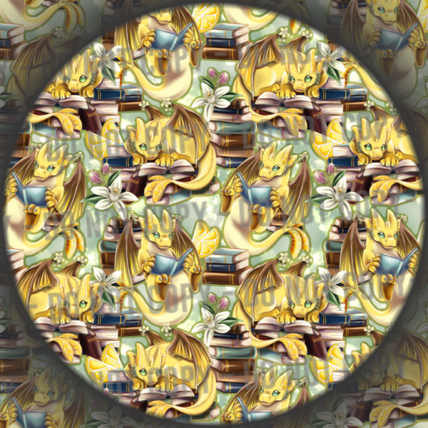 Book Dragon - 3