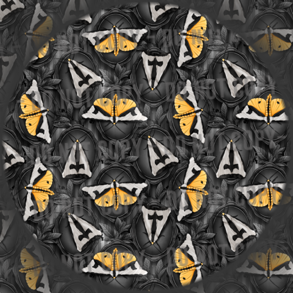 Clymene Moth - 1