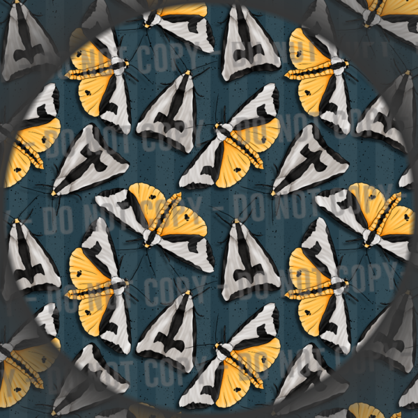 Clymene Moth - 2