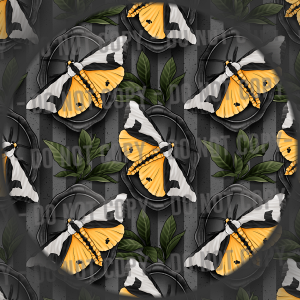 Clymene Moth - 4