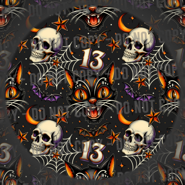 Black Cat 13