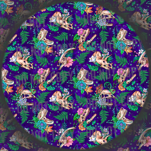 Dinosaur Skulls - 3