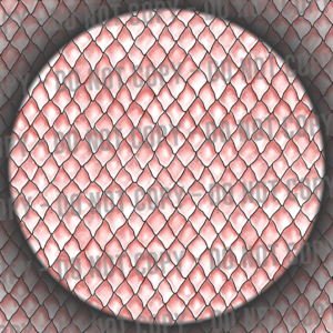 Dragon Scales - Pink