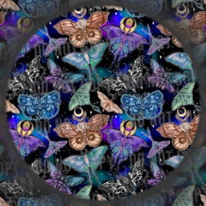 Moths