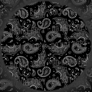 Paisley Bats - 4